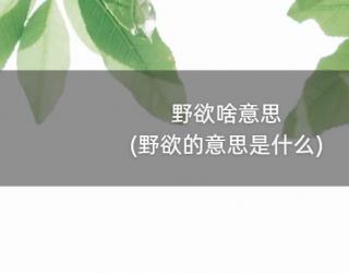 野欲啥意思(野欲的意思是什么)