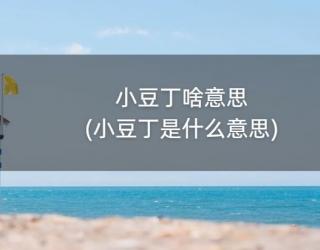 小豆丁啥意思(小豆丁是什么意思)