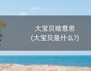大宝贝啥意思(大宝贝是什么?)