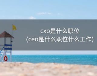 cxo是什么职位(ceo是什么职位什么工作)