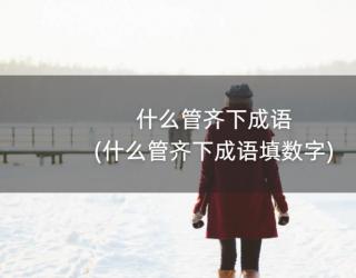 什么管齐下成语(什么管齐下成语填数字)