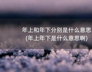 年上和年下分别是什么意思(年上年下是什么意思啊)