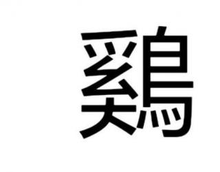 大写鸡多少画(鸡的大写长什么样)
