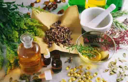 精油小知识 | 智利桃金娘树 - 生命力的象征,缓慢输出能量