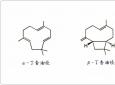 芳疗小知识｜倍半萜烯 - 丁香油烃