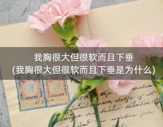 我胸很大但很软而且下垂(我胸很大但很软而且下垂是为什么)