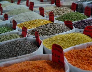 吃什么排黑色素最强(什么食物排黑色素)