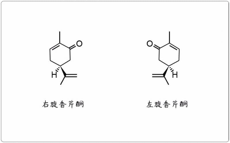 芳疗小知识|单萜酮 - 香芹酮