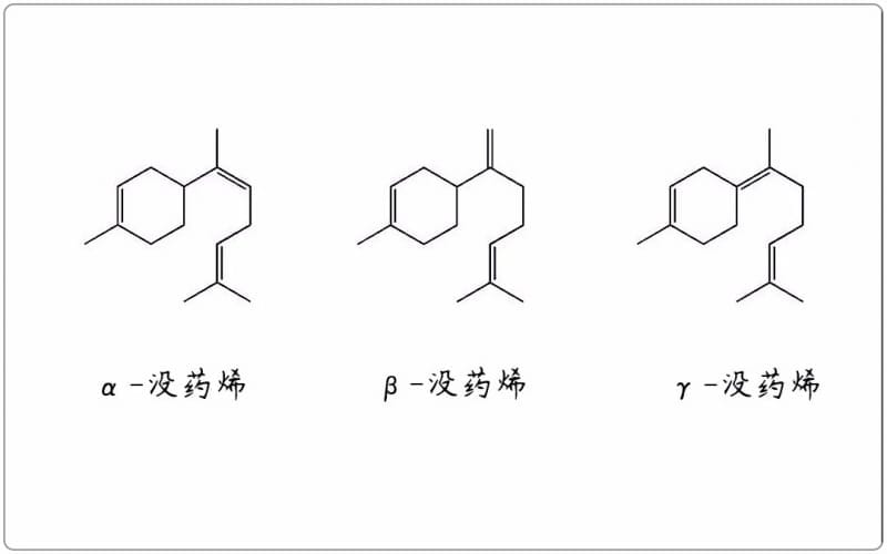 芳疗小知识|倍半萜烯 - 沒药烯