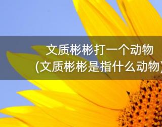 文质彬彬打一个动物(文质彬彬是指什么动物)