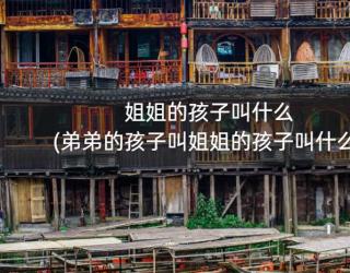 姐姐的孩子叫什么(弟弟的孩子叫姐姐的孩子叫什么)