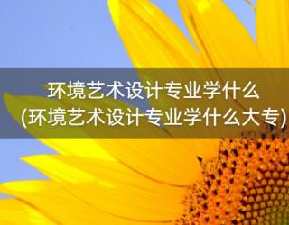 环境艺术设计专业学什么(环境艺术设计专业学什么大专)