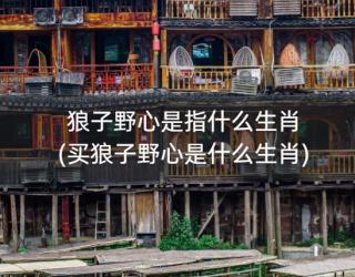 狼子野心是指什么生肖(买狼子野心是什么生肖)