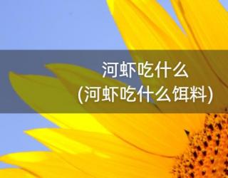 河虾吃什么(河虾吃什么饵料)