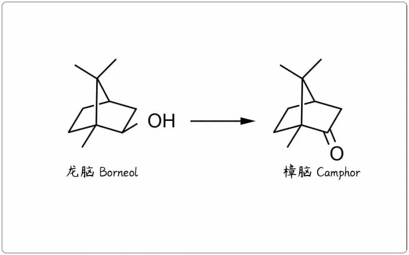 芳疗小知识|单萜酮 - 樟脑