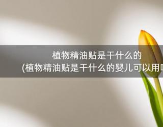 植物精油贴是干什么的(植物精油贴是干什么的婴儿可以用吗)