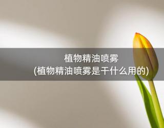 植物精油喷雾(植物精油喷雾是干什么用的)