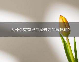 为什么荷荷巴油是最好的载体油?