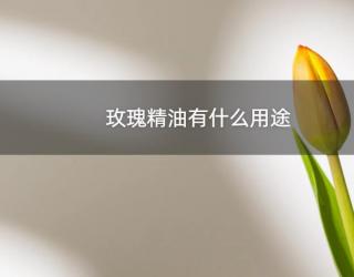 玫瑰精油有什么用途