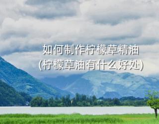 如何制作柠檬草精油(柠檬草油有什么好处)