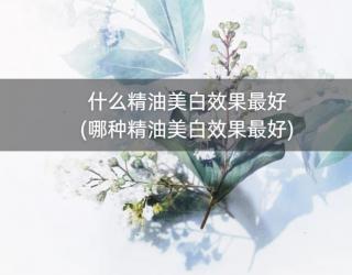 什么精油美白效果最好(哪种精油美白效果最好)
