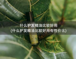 什么护发精油比较好用(什么护发精油比较好用有性价比)