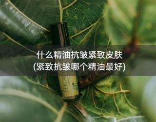 什么精油抗皱紧致皮肤(紧致抗皱哪个精油最好)