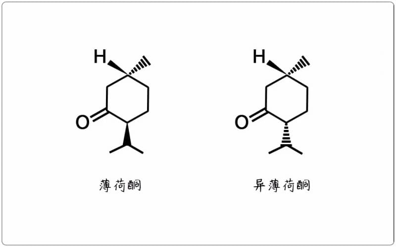 芳疗小知识|单萜酮 - 薄荷酮