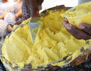 你如何用乳木果油和精油制作乳液