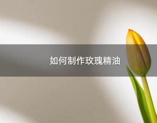 如何制作玫瑰精油