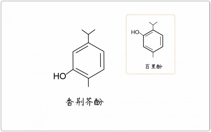 芳疗小知识|酚类 - 香荆芥酚