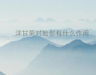 洋甘菊对脸部有什么作用