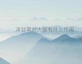 洋甘菊对大脑有什么作用