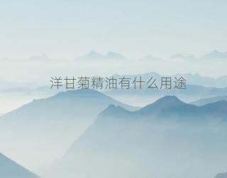 洋甘菊精油有什么用途