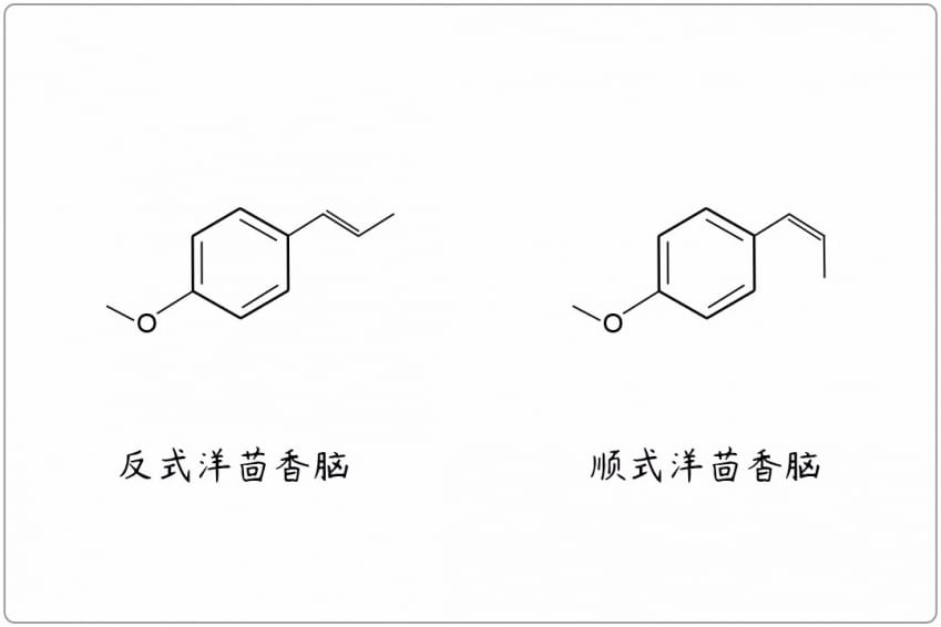 芳疗小知识|醚类 - 洋茴香脑