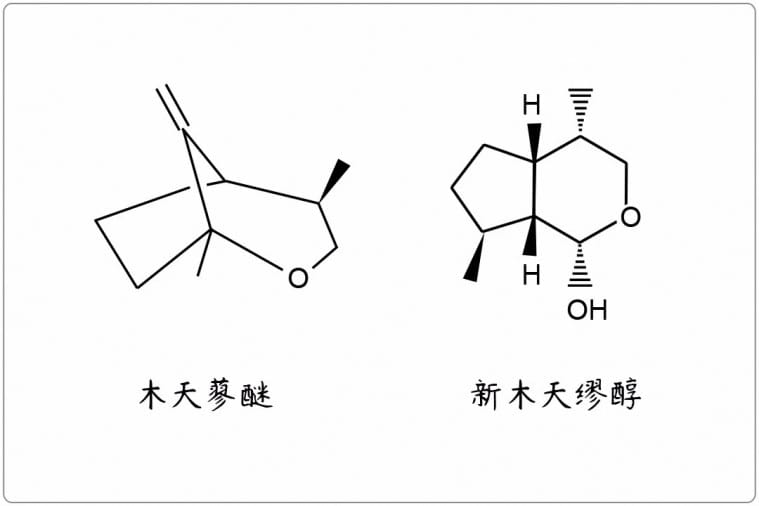 芳疗小知识|萜烯环醚(氧化物类)
