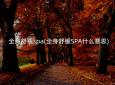 全身舒缓spa(全身舒缓SPA什么意思)