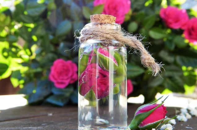 如何在季风期间使用玫瑰水治疗皮肤问题