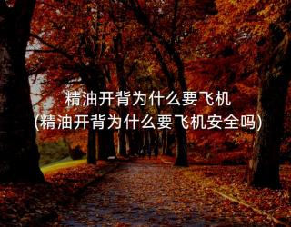 精油开背为什么要飞机(精油开背为什么要飞机安全吗)