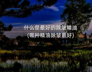 什么是最好的除皱精油(哪种精油除皱最好)