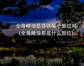 全身精油是身体每个部位吗(全身精油都是什么部位)
