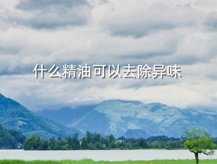 什么精油可以去除异味