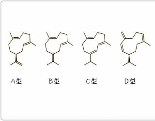 芳疗小知识｜倍半萜烯 - 大根老鹳草烯