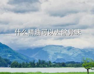 什么精油可以去除异味