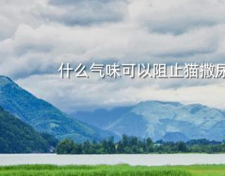 什么气味可以阻止猫撒尿