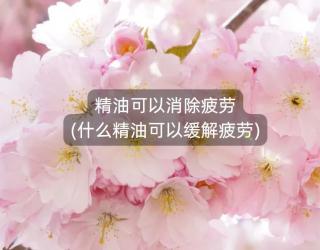 精油可以消除疲劳(什么精油可以缓解疲劳)