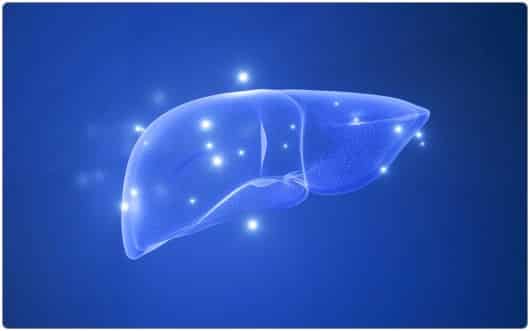 芳疗小知识|精油使用安全之肝毒性