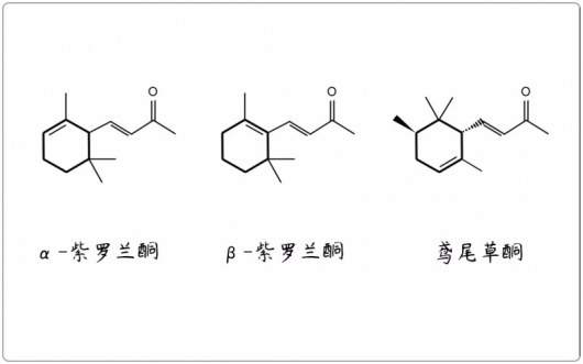 芳疗小知识|倍半萜酮 - 紫罗兰酮