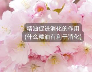 精油促进消化的作用(什么精油有利于消化)