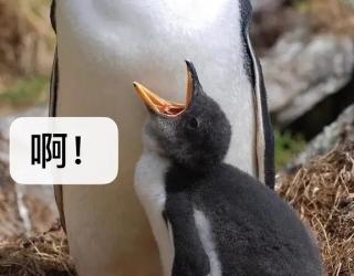 【守护春季健康】唇疱疹的相关知识及护理